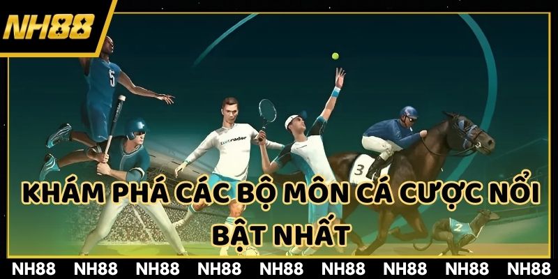 Các bộ môn thể thao cá cược trực tuyến trên các trang web